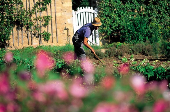 POTAGER_VAULT_DE_LUGNY