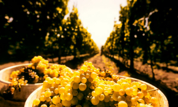 2014-10-22 pm 02-22-10