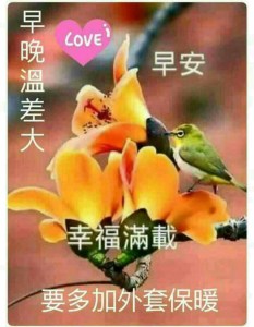 File 2016-3-21 22 22 54