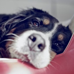 「無聊」，也是一種進步的動力