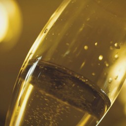 胸無大志的美好