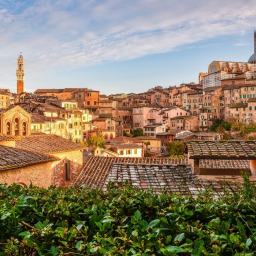 西恩納僅此一家，別無分號