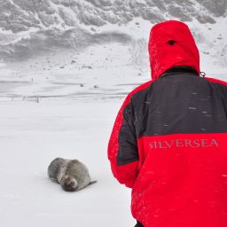 南極的一堂擔待課