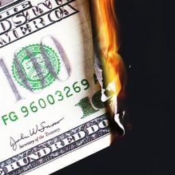 To Burn Or Not To Burn, That Is The Question