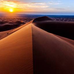 [虛構] 撒哈拉沙漠看日出